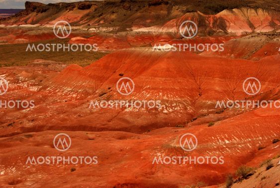 Painted Desert