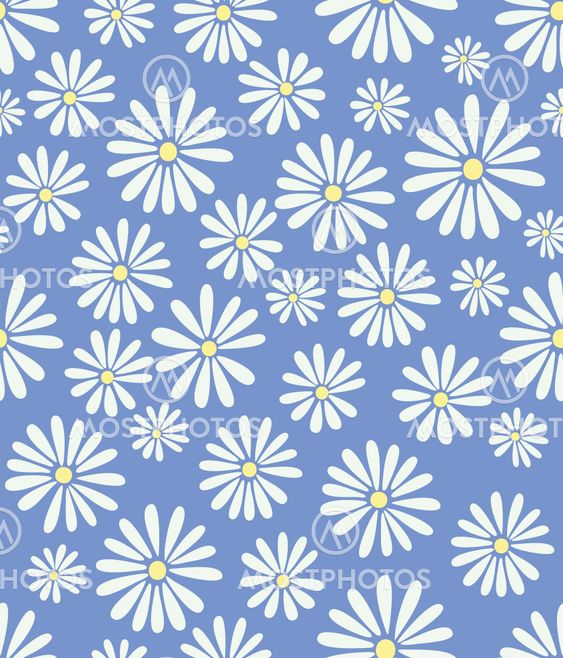 Doris Day Flower on Lavender