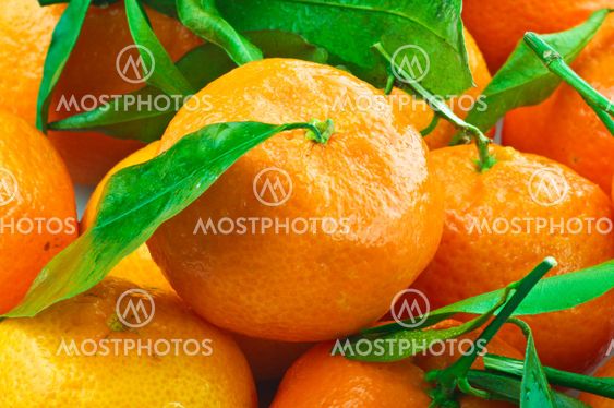 tangerine and leaves close up