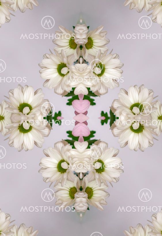 flowers , visual effect of a mirror,abstract color...