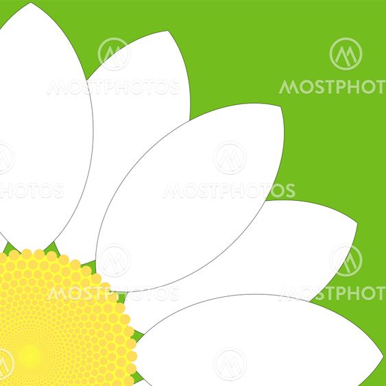 White Flower Quarter Icon