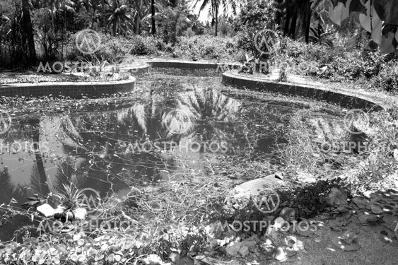 Pool after tsunami