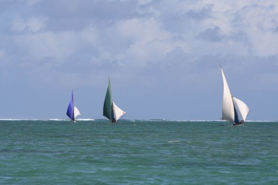Kappsegling Mauritius 2