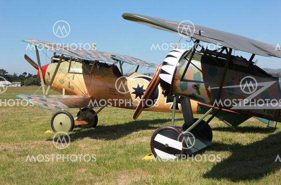 Albatros DVa and Fokker DVIII