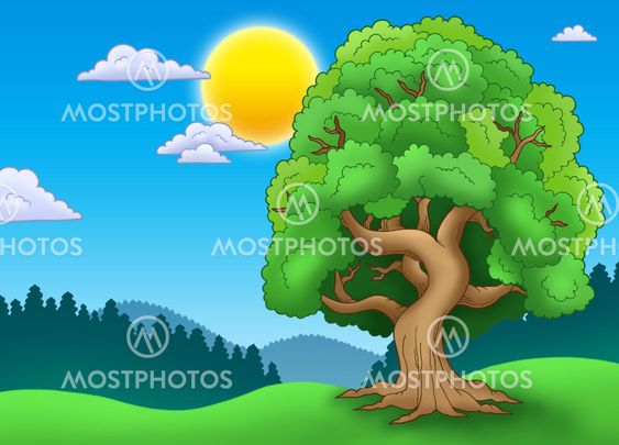 Green leafy tree in landscape