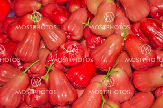 Rose Apple or chomphu
