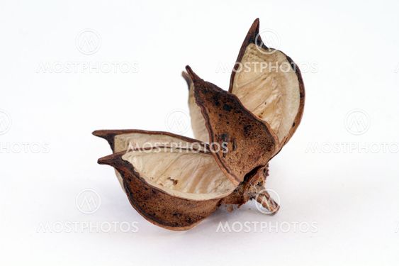 aromatic home accessories