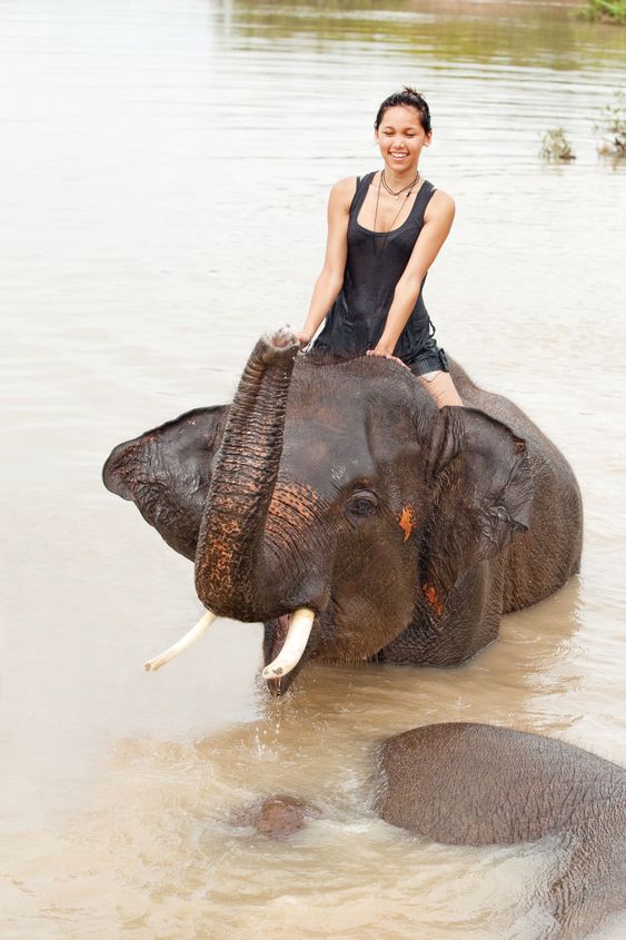 Girl has bath with elephant