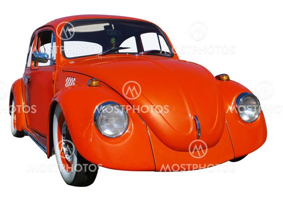 Orange Beetle