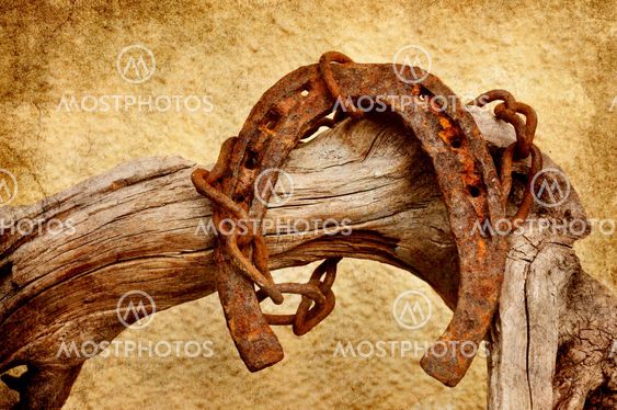 old horseshoe and chain
