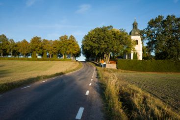 Rural Scandinavia landscape, Asphalt country road among 
