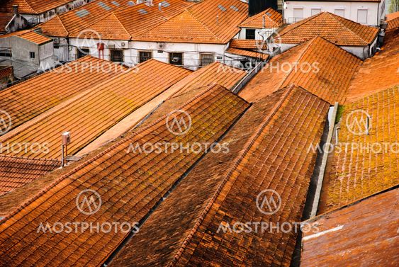 House roofs in Porto, Portugal