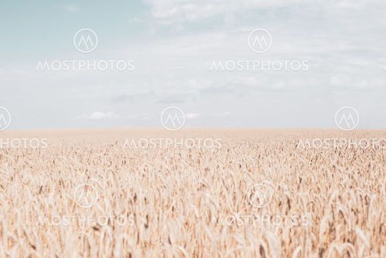 Skåne