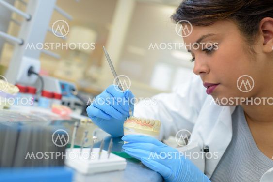 dental prosthesis work painting teeth