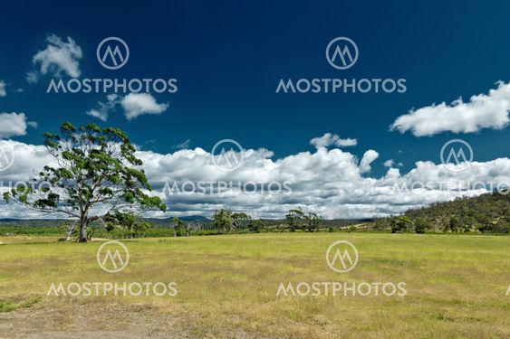 australia meadow