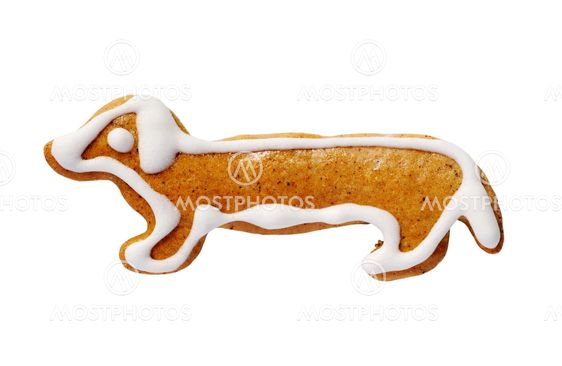 Gingerbread cookie