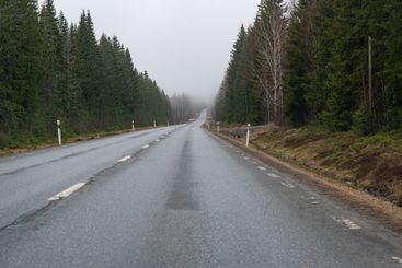 Morgondis vid väg genom skog i Närke