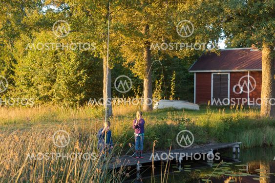 Summer evening at the lake