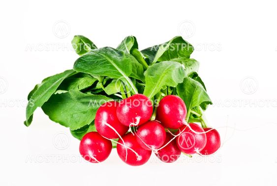 Fresh radish