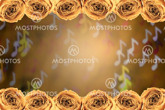 dry white rose frame on blur note bokeh background