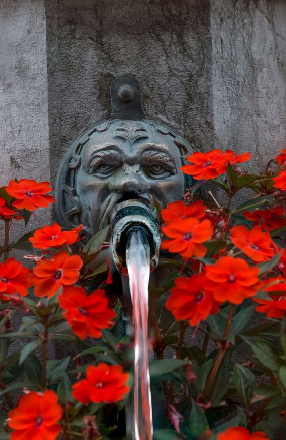 Flowers and Fountain, Bern, Switzerland
