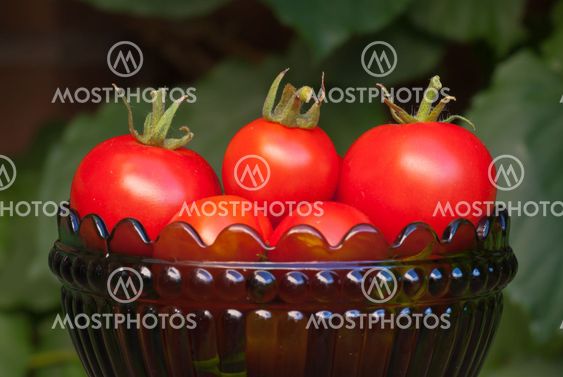 Tomatoes