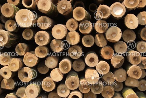 A pile of wood.