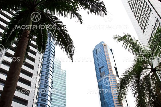 skyscraper1