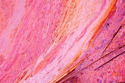 Pink paint background art and abstract texture