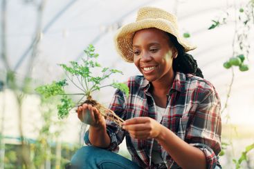 Greenhouse, gardening and black woman with nature, smile...