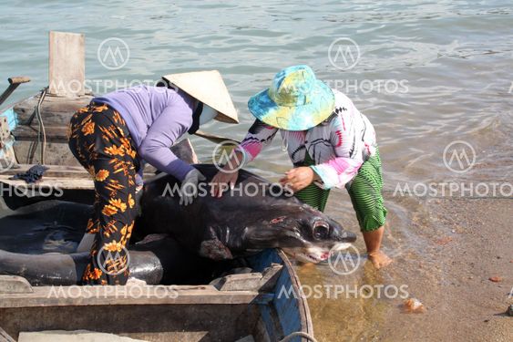 Women and shark