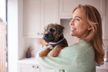 Female Owner Holding And Cuddling Border Terrier Puppy...