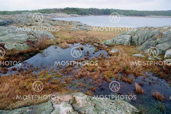 Kustlandskap 1
