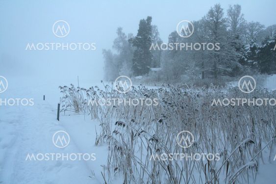Vacker vintermorgon_3