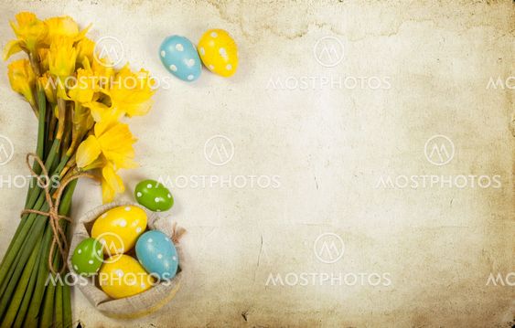 Easter background with painted eggs and blooming daffodils