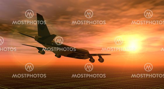 Fly at Sunset