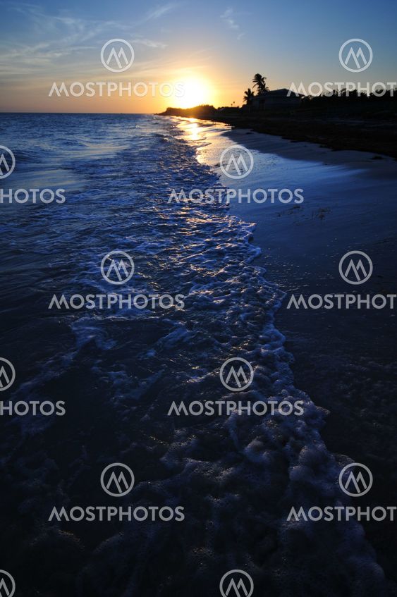 Tropical Beach