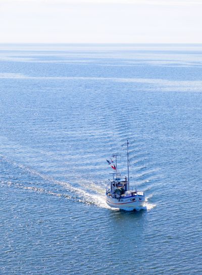 Small fishing boat on the blue sea heading back after...