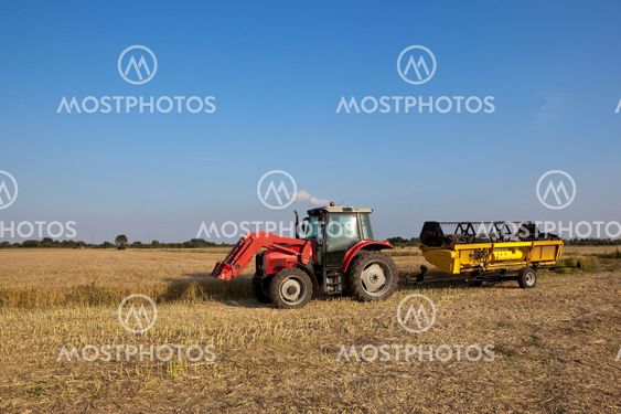 harvest time