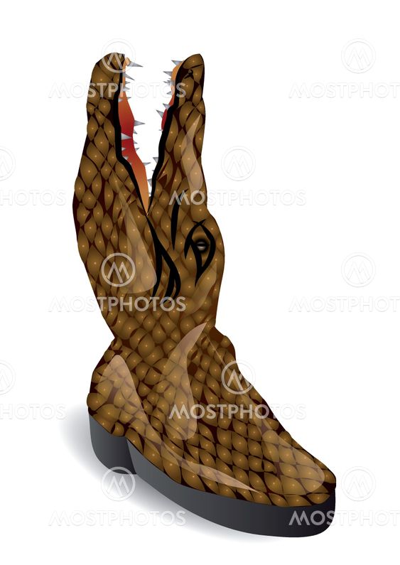 crocodile boot