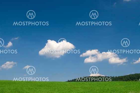 Green meadow with blue sky