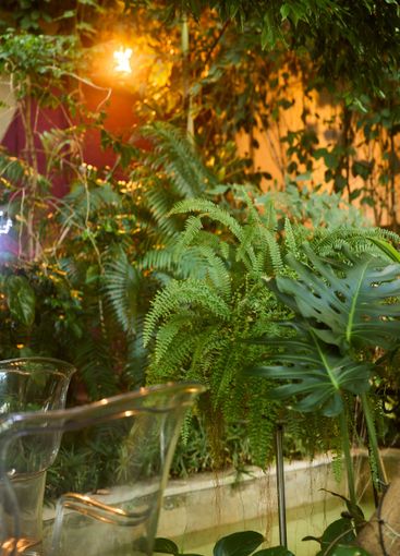 Experience a Lush Indoor Garden adorned with Soft...