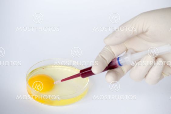 Injecting an egg