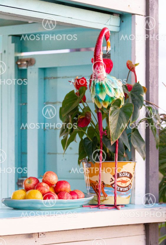 Tropical vibes in a beach bar and surf feeling in...