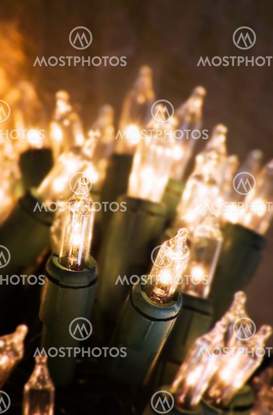 Winter Holiday Lights