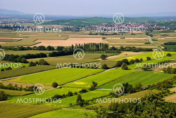 Agricultural landscape