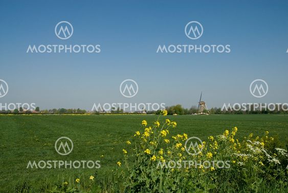 Landscape with windmill