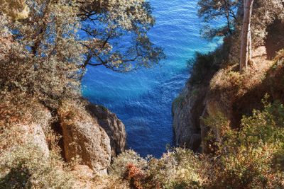 beautiful natural landscape with trees on cliffs and...