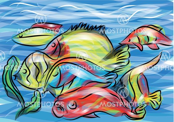 coral fish