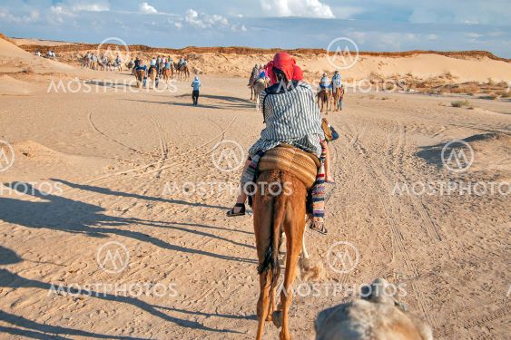 Group of tourists over dromedary camel walking in the sands